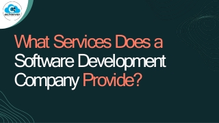 What services does a software development company provide
