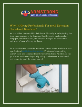 Get The Best Mold Detection Service At Your Doorstep