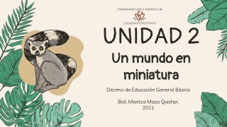 UNIDAD 2-CCNN