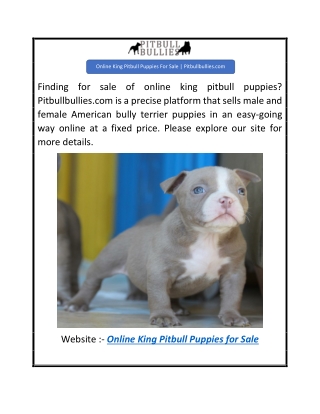 Online King Pitbull Puppies For Sale  Pitbullbullies.com