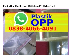 Plastik Opp Cap Beruang O8ᣮ8.4OϬϬ.4Oᑫ1[WhatsApp]