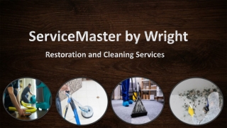 Water damage And Cleaning Services In Port Charlotte