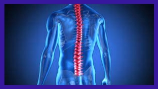 Best Spine Care of Symptoms