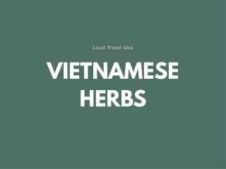 VIETNAMESE HERBS: