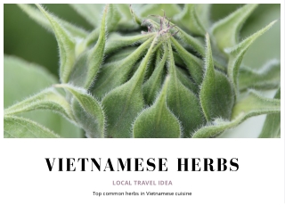 VIETNAMESE HERBS