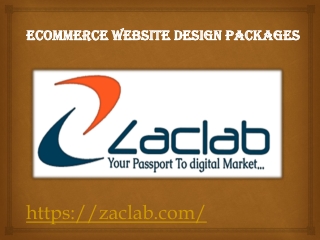 Ecommerce Website Design Packages