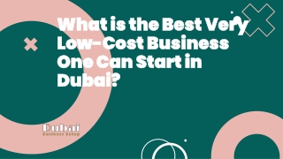 What is the Best Very Low-Cost Business One Can Start in Dubai?