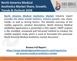 North America Medical Aesthetics Market Growth at a Rate of 10.10%