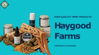 CBD Salve for Pain