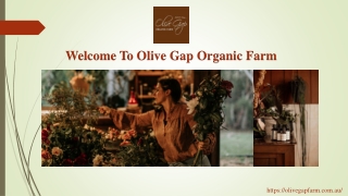 Welcome To Olive Gap Organic Farm