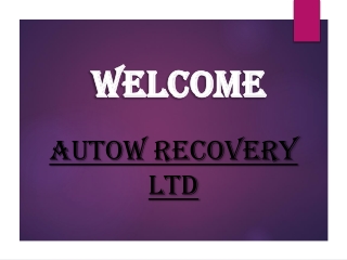 Searching for Scrap Car Collections in Lexden