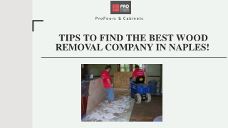 Tips for Finding the Best Wood Removal Company in Naples!