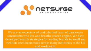 Digital Marketing Company - Netsurge
