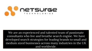 WordPress Website Development - Netsurge