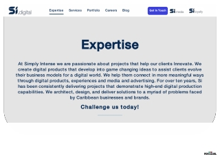 Digital marketing services Trinidad | Simply Intense