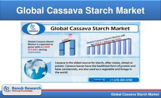 Global Cassava Starch Market to Reach US$ 8.1 Billion by 2026