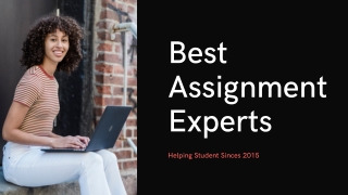 Best Assignment Experts (4)