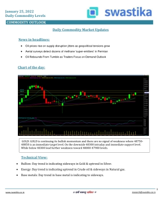 Commodity daily levels (25-Jan.)