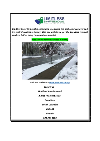 Best Snow Removal Services in Surrey