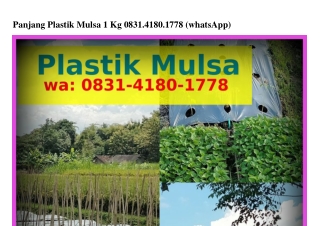 Panjang Plastik Mulsa 1 Kg Ö8ЗI_4I8Ö_Iᜪᜪ8{WA}