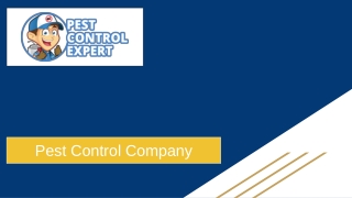 Pest Control Professional - Pest Control Expert