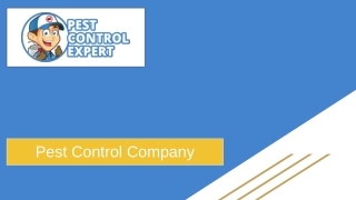 Reliable Pest Management Services - Pest Control Expert