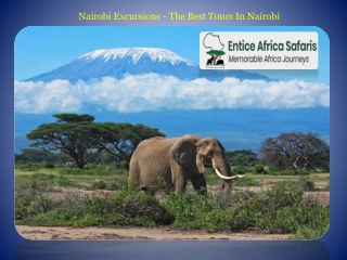 Nairobi Excursions - The Best Tours In Nairobi