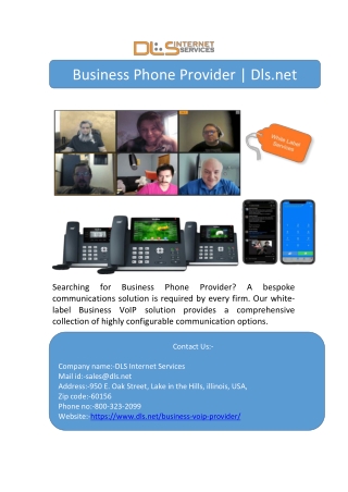 Business Phone Provider | Dls.net