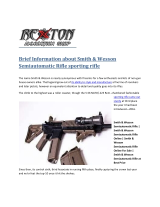 Brief Information about Smith ammo