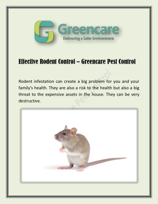 Effective Rodent Control - Greencare Pest Control