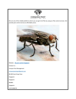 Fly Pest Control Singapore  Conquer Pest