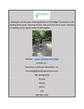 Paver Cleaning Park Ridge  Grassroots Landscape Specialties