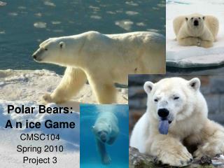 Polar Bears: A n ice Game CMSC104 Spring 2010 Project 3