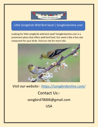Little Songbirds Wild Bird SeedLittle Songbirds Wild Bird Seed | Songbirdonline.
