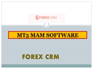 MT5 MAM Software