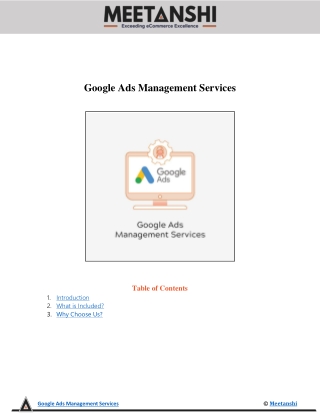 Google Ads Management Services