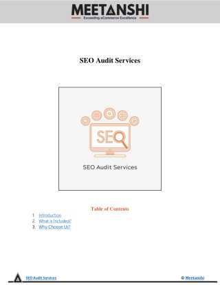 SEO Audit Services