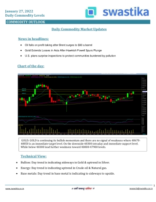 Commodity daily levels (27-Jan.)