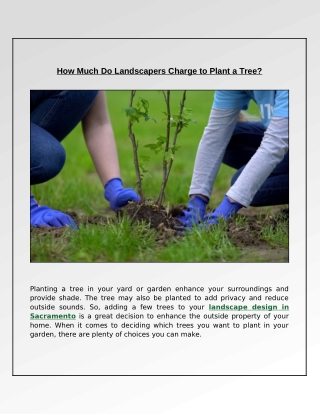 How Much Does It Cost to Plant a Tree by Landscapers?