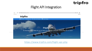Flight API Integration
