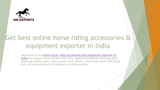 Online Horse riding accessories & equipment exporter in India