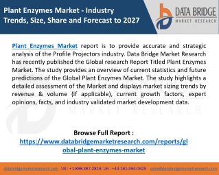 Plant Enzymes Market Application, Growth Strategy , Manufacturers, Trends