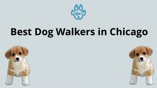 Best Dog Walkers Chicago