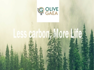 Plant a Tree