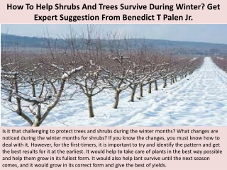 How To Help Shrubs And Trees Survive During Winter Get Expert Suggestion From Benedict T Palen Jr.