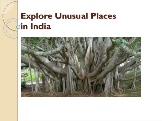 Explore Unusual Places in India