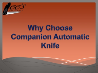 Companion automatic knife