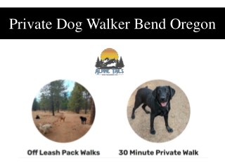 Private Dog Walker Bend Oregon