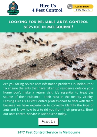 Looking for reliable ants control service in Melbourne
