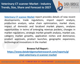 Veterinary CT scanner Market Overview